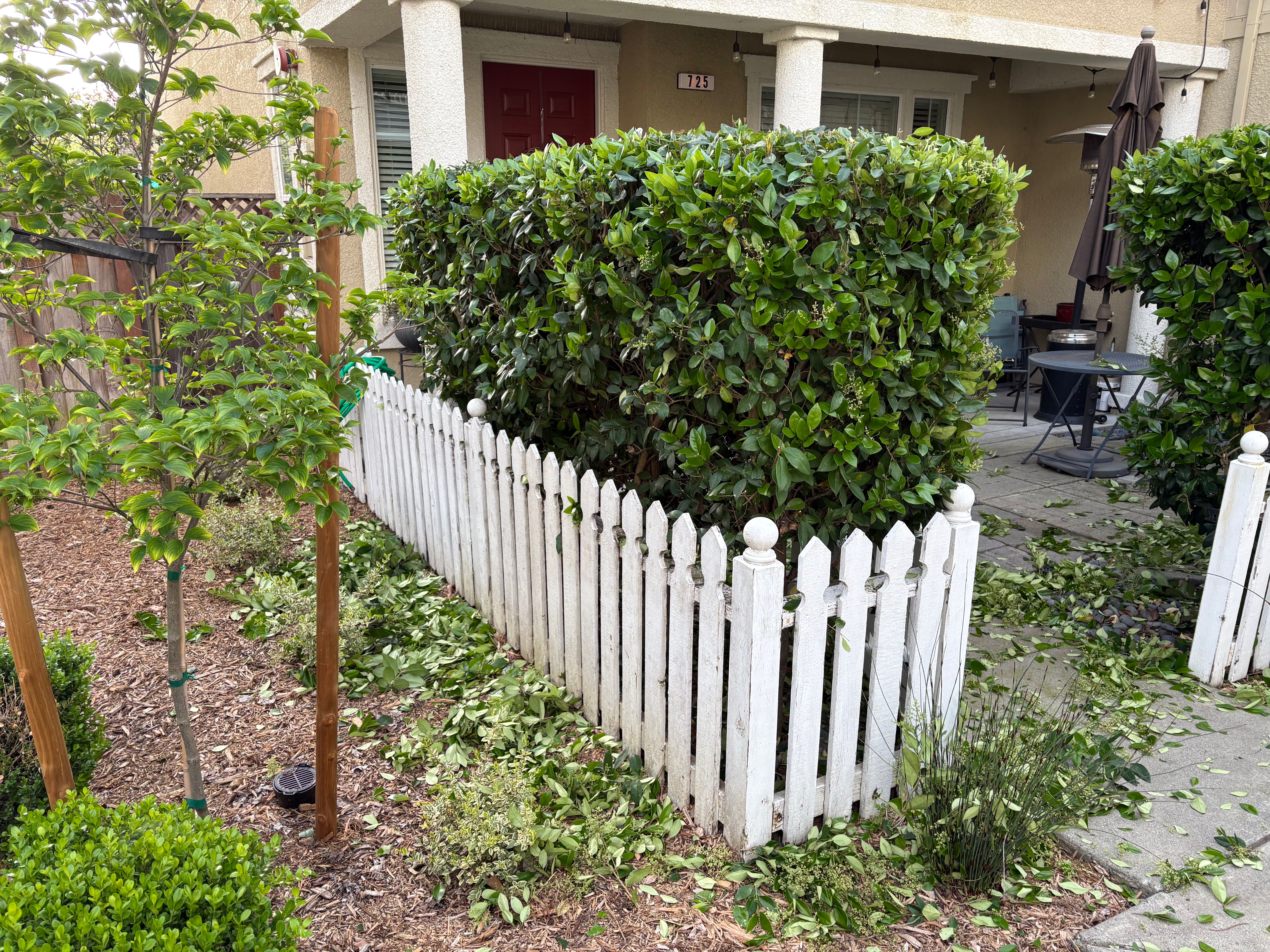 Shrub Trimming