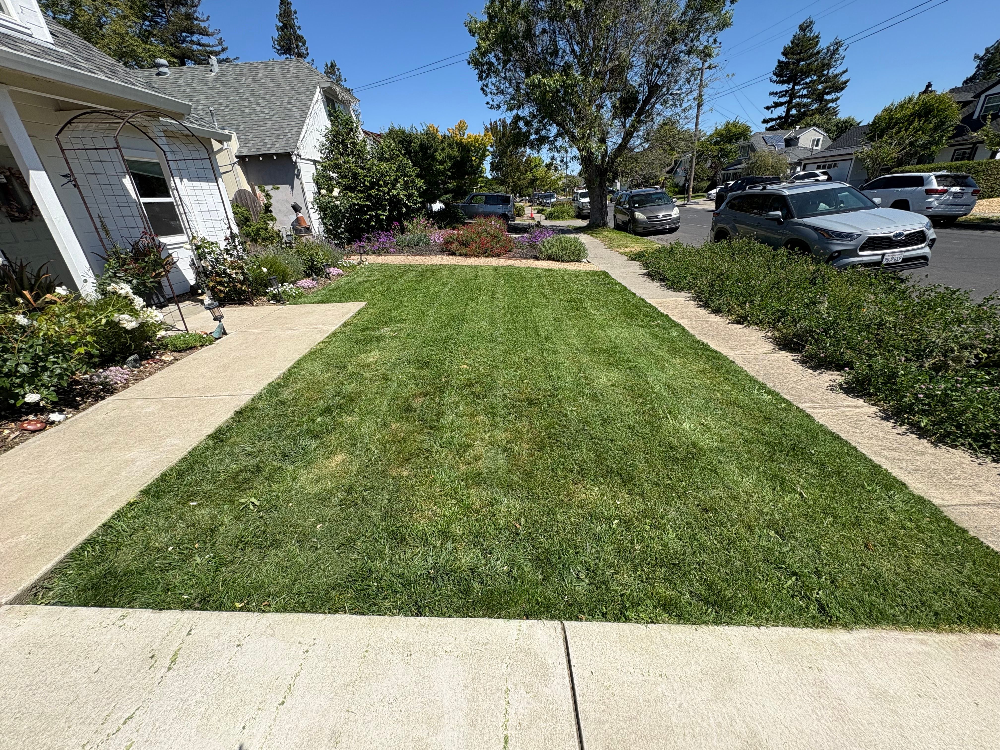 🍃 Welcome to Premier Valley Landscaping