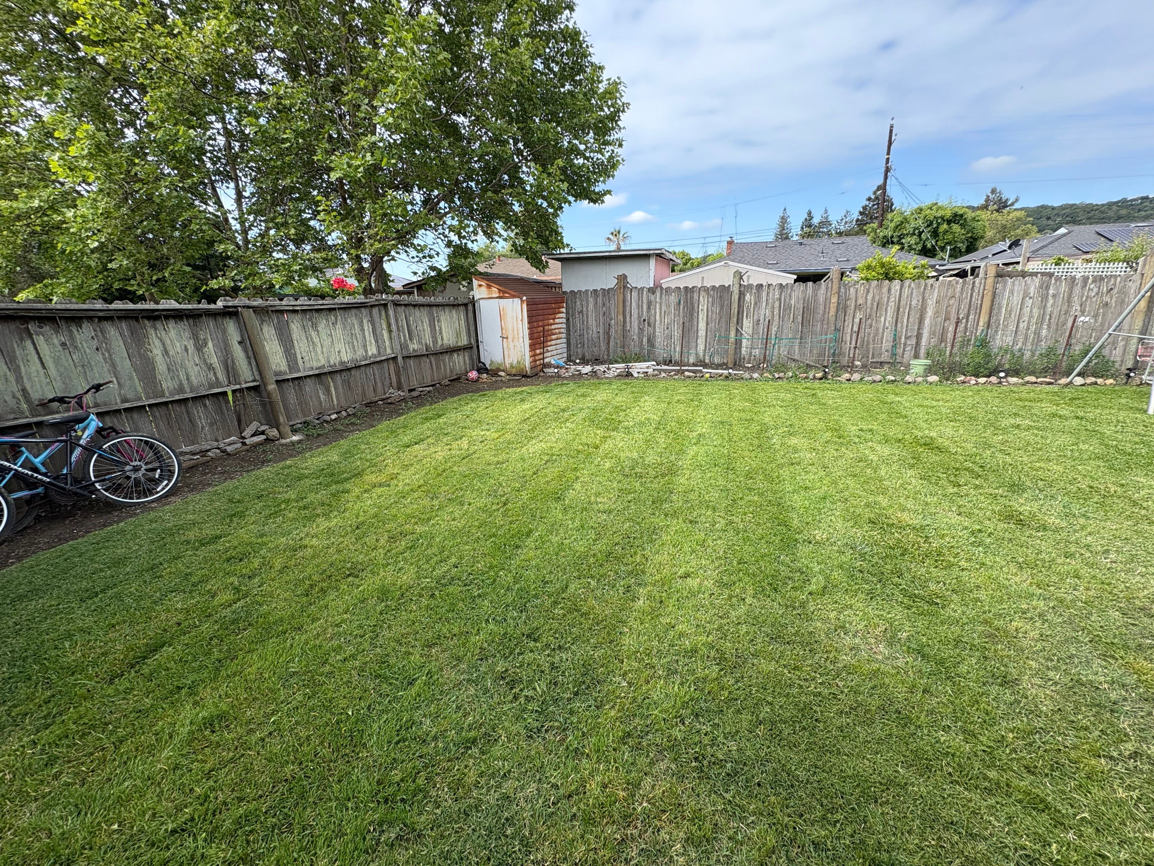 Lawn Mowing